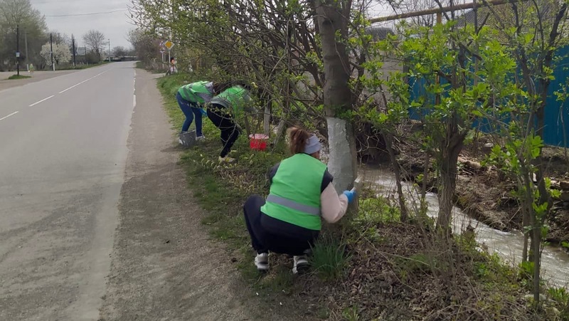 Субботники прошли во всех поселениях Кировского округа