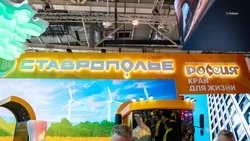 Посетители стенда Ставрополья вновь могут построить пряничный домик