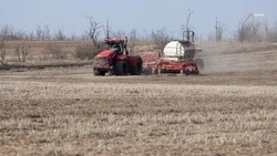 Аграрии Кировского округа засеяли ранними яровыми 3,3 тыс. га полей