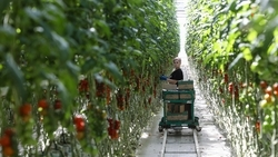 Ставропольская эко-ферма получила грант на развитие