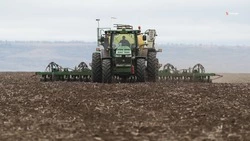 Сев озимого рапса проходит на Ставрополье