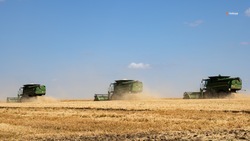 Аграрии Кировского округа собрали более 94 тыс. тонн зерновых