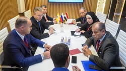 Губернатор Владимиров: Ставрополье посетит деловая миссия из Египта