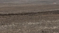 Свыше 300 га ставропольских земель изъяли у недобросовестных арендаторов