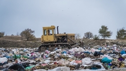 Пластмассовый мир проиграл: большинство россиян готовы отказаться от пластиковой посуды
