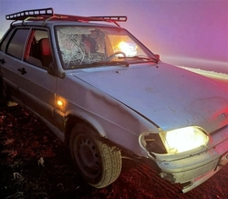 Пенсионер не заметил в тумане и сбил пьяного пешехода по дороге в Зольскую