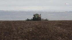 Озимые культуры заняли 10,2 тыс. га полей Кировского округа