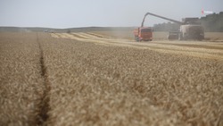 Уборку зерновых в Кировском округе выполнили на 15% от плана