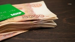 Нанятого покосить траву кировчанина подозревают в краже денег у спящей хозяйки