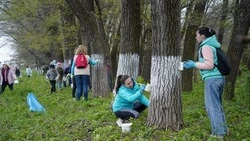 В большой весенней уборке в Невинномысске принял участие губернатор