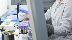 Ставропольские учёные выводят новые породы овец, превосходящие потенциал импортных