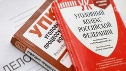 Прокуратура Кировского округа направила уголовное дело о ненадлежащем оборудовании детской площадки в парке «Кура» в суд 