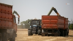 Около 43 тыс. тонн минеральных удобрений на весну заготовили на Ставрополье 