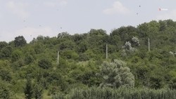 Контроль за разведением огня в лесах усилят на Ставрополье по поручению губернатора