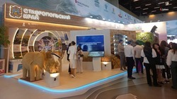 Михаил Мишустин принял участие в Кавказском инвестфоруме на Ставрополье