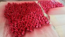 Акцию «Красный тюльпан» провели в Кировском округе