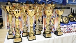 Юные боксёры Кировского округа завоевали две медали на краевом первенстве