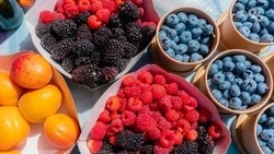 Ставропольские фермеры развивают производство малины
