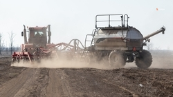 Аграриям Ставрополья предоставили субсидии на поддержку овощеводства и картофелеводства