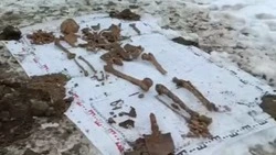 Волонтёры нашли останки десяти советских солдат на территории Ставрополья