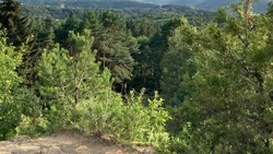 Кировский лесхоз получил системы видеонаблюдения для противодействия пожарам