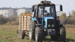 Около 50% субсидий довели до аграриев Ставрополья с начала года