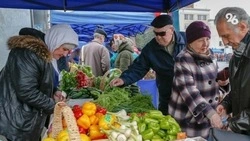 Сельскохозяйственная ярмарка на центральном площади в Новопавловске 