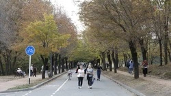 Дороги к национальному парку Кисловодска обновляют по нацпроекту 