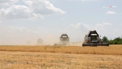 Аграрии Ставрополья подготовились к жатве