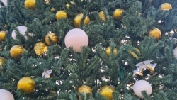 Школьница из Кировского округа посетила главную новогоднюю ёлку в Кремле