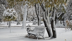 Режим повышенной готовности ввели на Ставрополье в связи с непогодой