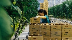 26 лучших производственных брендов определили на Ставрополье 