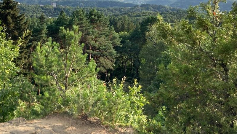 Кировский лесхоз получил системы видеонаблюдения для противодействия пожарам