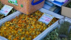 Очередную сельхозярмарку устроили на центральной площади Новопавловска