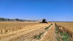 Уборка зерновых завершается в Кировском округе