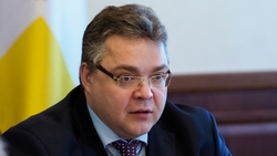 Губернатор Владимиров обсудил с коллегами меры поддержки ставропольского бизнеса