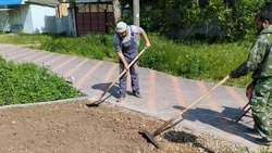 Придомовые территории возле ранее обустроенной аллеи облагораживают в Новопавловске