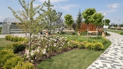 Средства на развитие региона предусмотрели в бюджете Ставрополья-2026