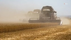 Жатву завершили в одном из округов Ставрополья