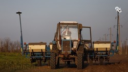 Ставропольские аграрии закладывают урожай 2023 года