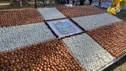 Представители Кировского округа показали свою продукцию на выставке-ярмарке «Урожай-2023»