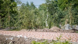 Проект благоустройства реализуют в селе Орловка к концу октября