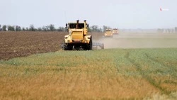 Второй этап уборочной кампании стартовал на Ставрополье 