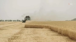 На Ставрополье расширят меры господдержки аграриев