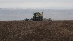 План по севу яровых культур выполнили на Ставрополье на 61%