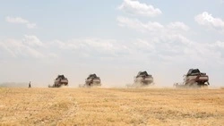 Уровень пожаробезопасности контролируют на полях Ставрополья 