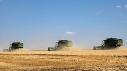 Аграрии Кировского округа собрали более 94 тыс. тонн зерновых