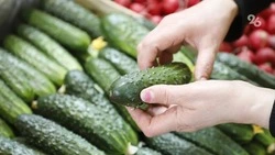 На Ставрополье проведут анализ действующих международных соглашений и подготовят план их расширения 