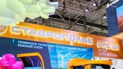 Патриотические мастер-классы проводят на стенде Ставрополья