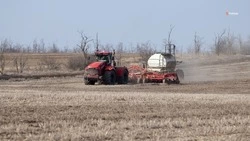 В Кировском округе приступили к севу яровых